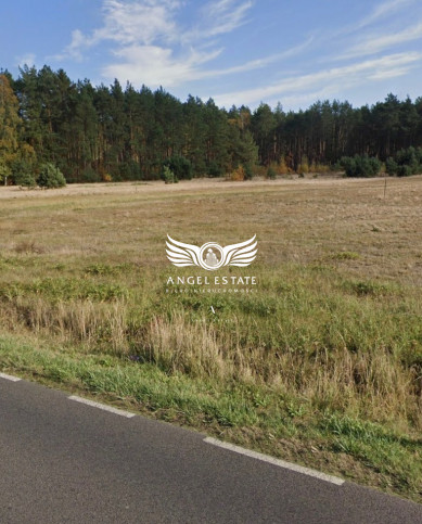 Działka Sprzedaż Trzebież Kościuszki 4