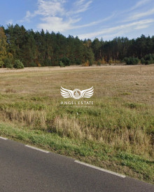 Działka Sprzedaż Trzebież Kościuszki