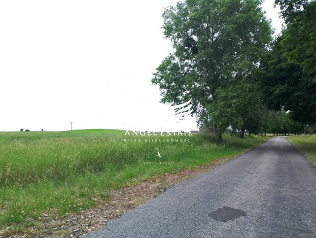 Działka Sprzedaż Sokołowo 4
