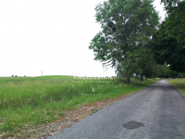 Działka Sprzedaż Sokołowo